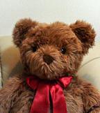 bear.JPG